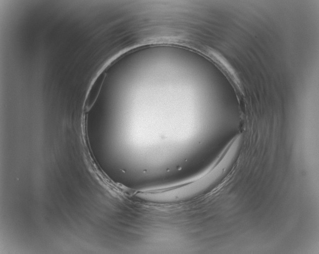 X0000072491340200608111552