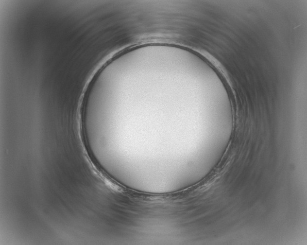 X0000072491341200608111552