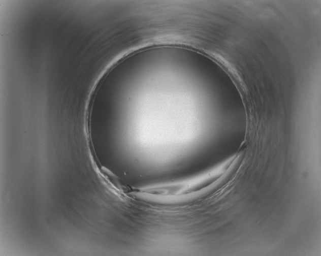 X0000072491342200608111552