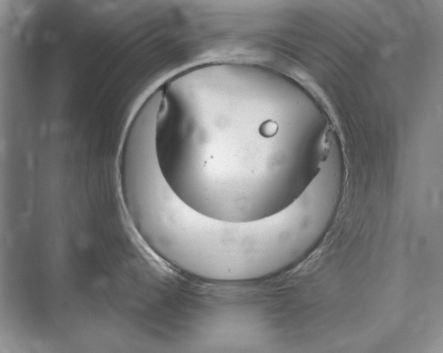 X0000072491344200608111552