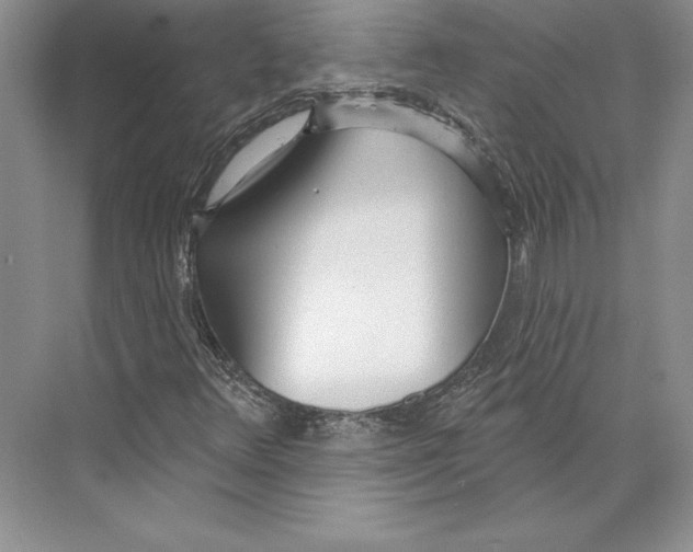 X0000072491348200608111551