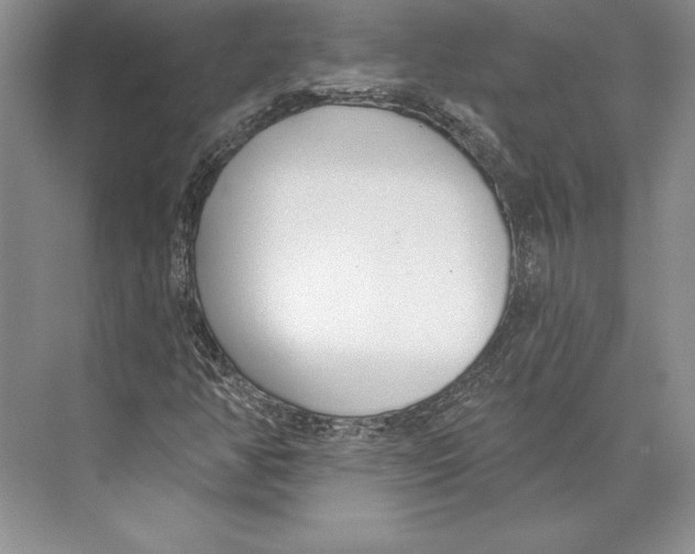 X0000072491350200608111551