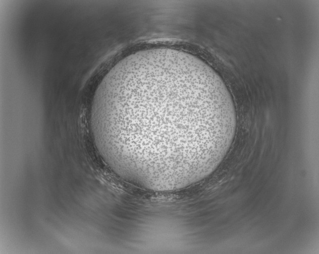 X0000072491351200608111551