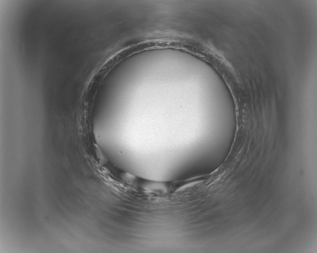 X0000072491352200608111551