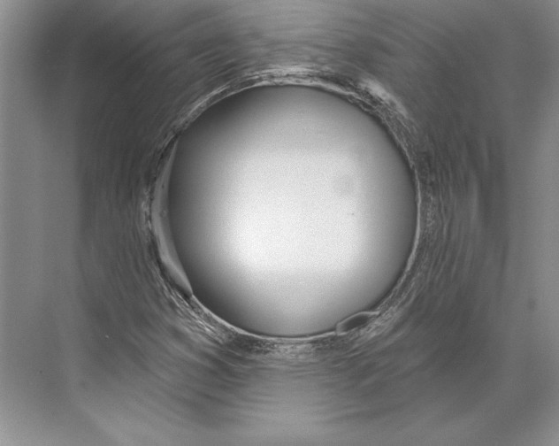 X0000072491353200608111551