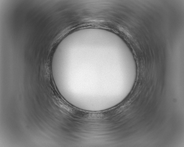 X0000072491354200608111551