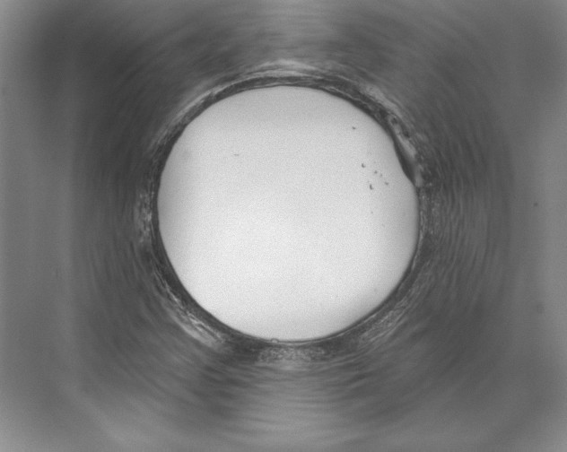 X0000072491355200608111551