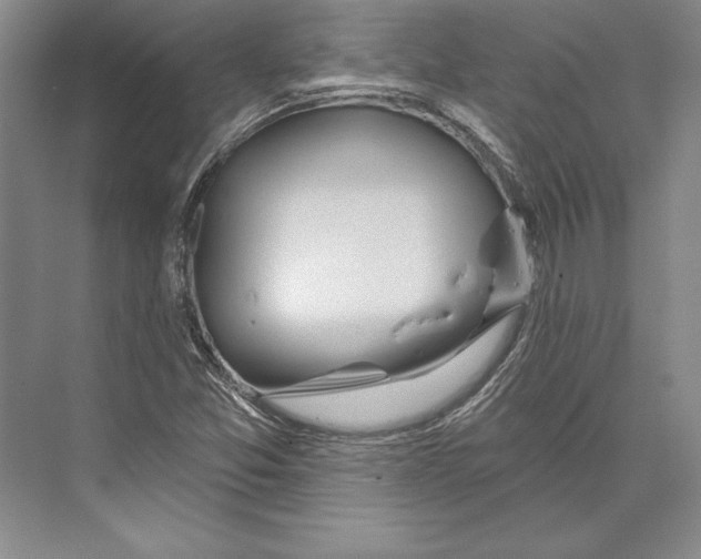 X0000072491357200608111551