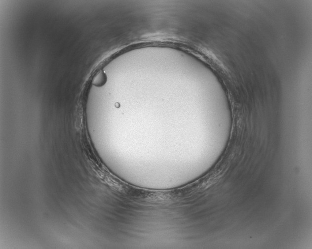 X0000072491358200608111551