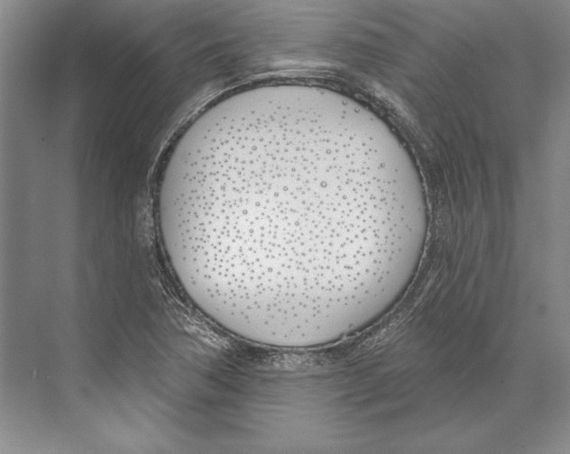 X0000072491362200608111551