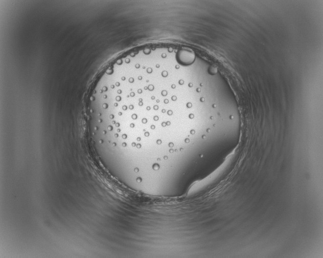 X0000072491363200608111551