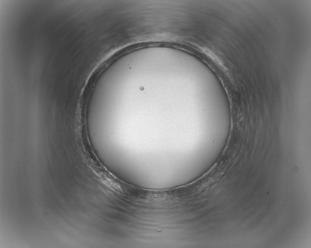 X0000072491364200608111551