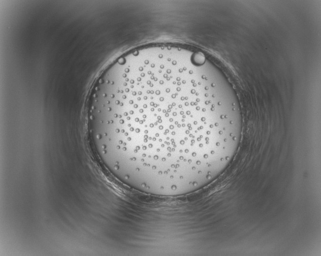 X0000072491367200608111551