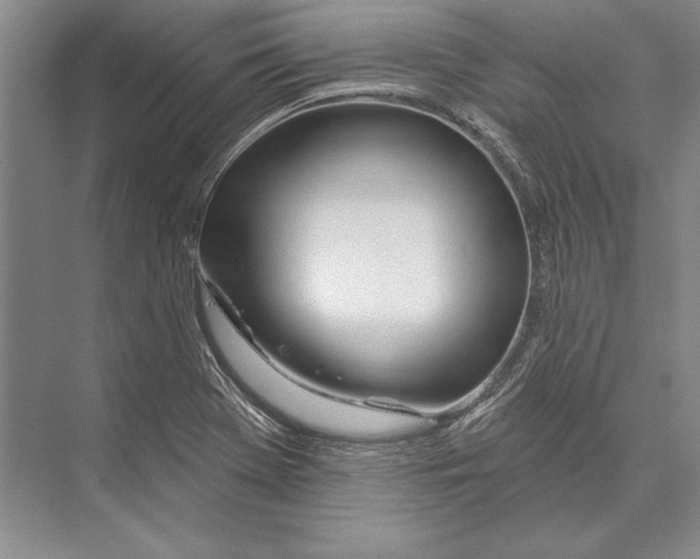 X0000072491369200608111551