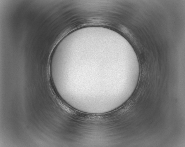 X0000072491370200608111551