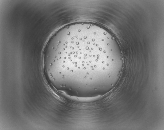 X0000072491371200608111551