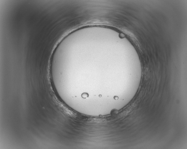 X0000072491374200608111551