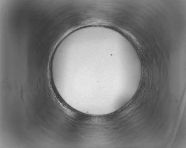 X0000072491375200608111551