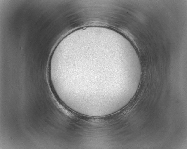 X0000072491379200608111551