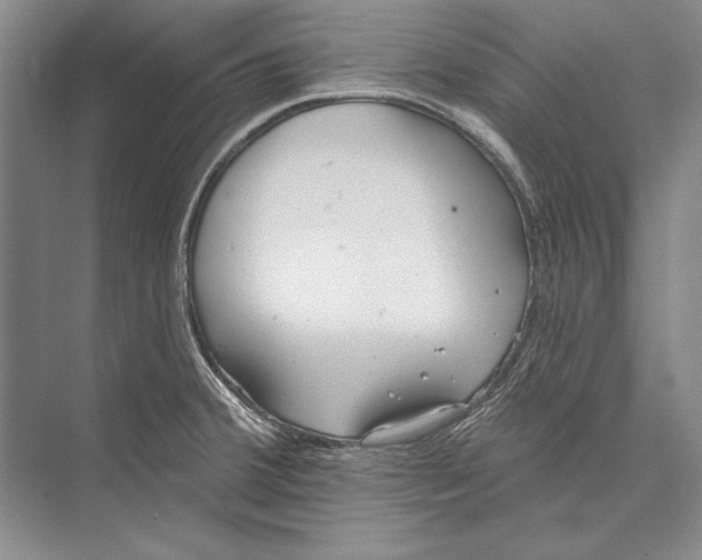 X0000072491380200608111551