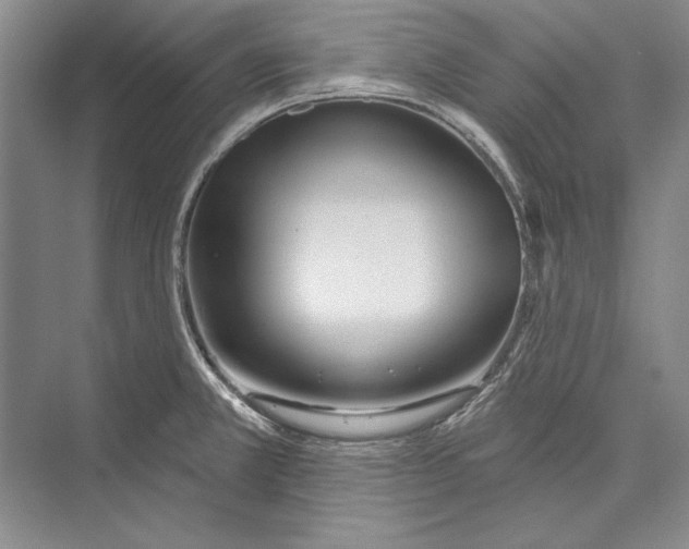 X0000072491381200608111551