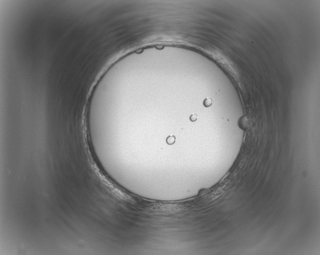 X0000072491382200608111551