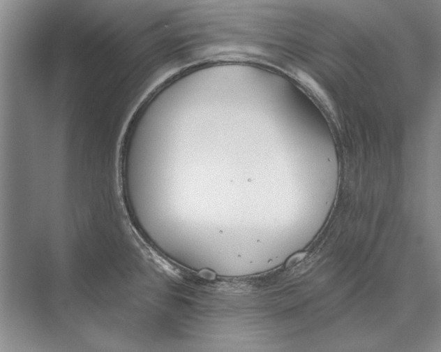 X0000072491384200608111551