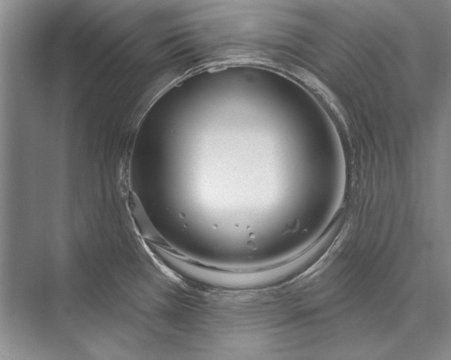 X0000072491385200608111551