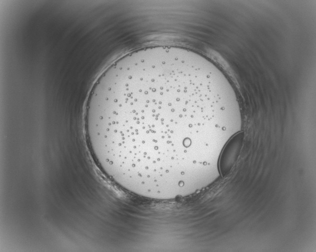 X0000072491386200608111551