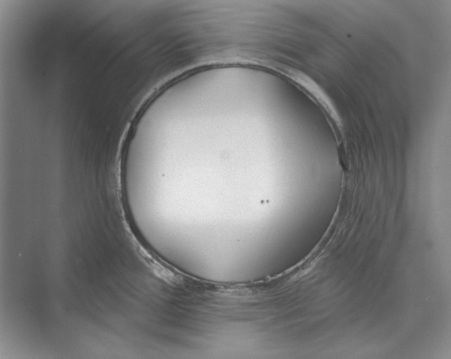 X0000072491388200608111551