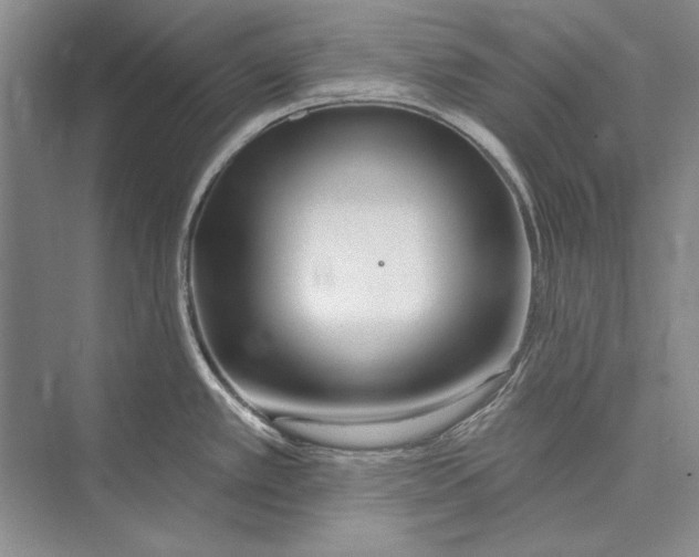 X0000072491389200608111551