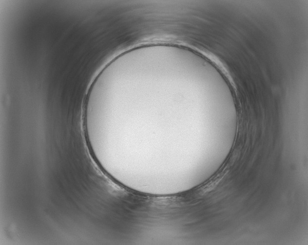 X0000072491390200608111551