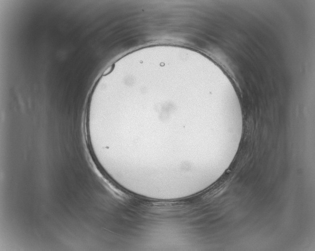 X0000072491391200608111550