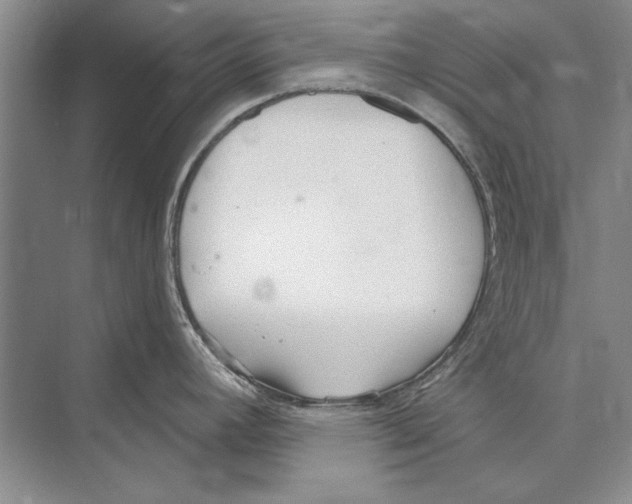 X0000072491392200608111550