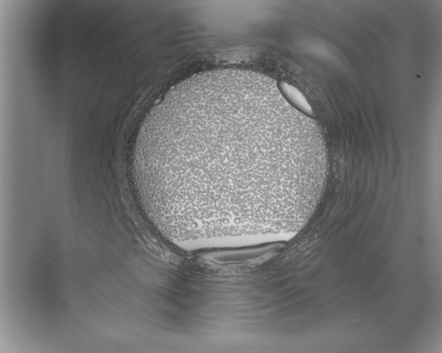 X0000072491393200608111550