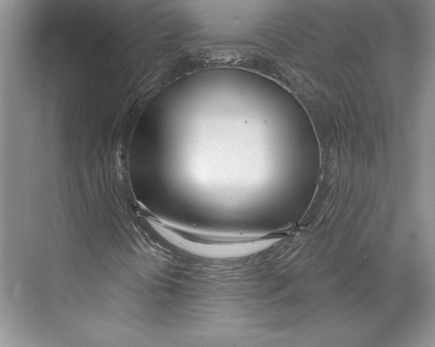 X0000072491394200608111550