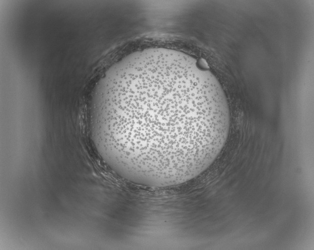 X0000072491397200608111550