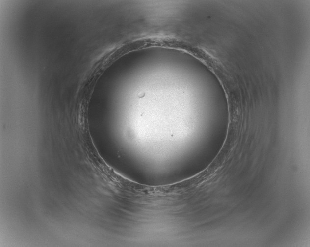 X0000072491398200608111550