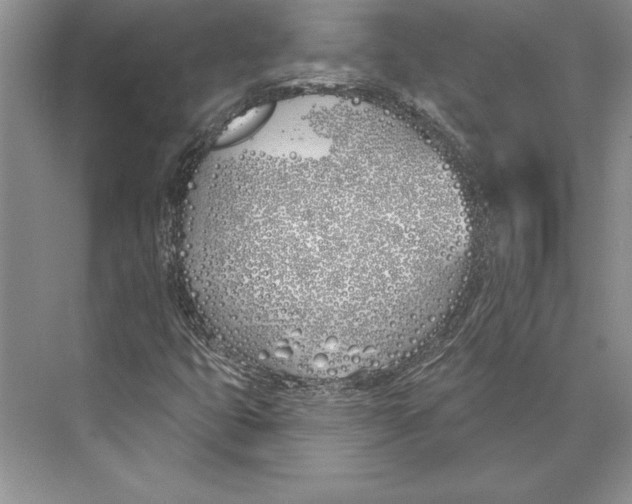 X0000072491399200608111550