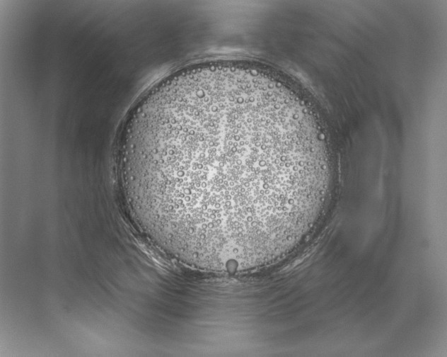 X0000072491405200608111550