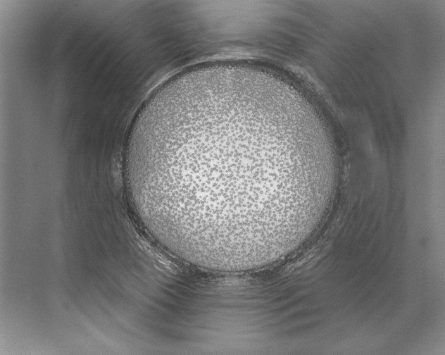 X0000072491409200608111550