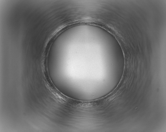 X0000072491410200608111550