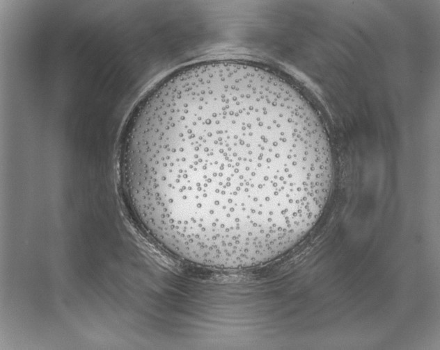 X0000072491415200608111550