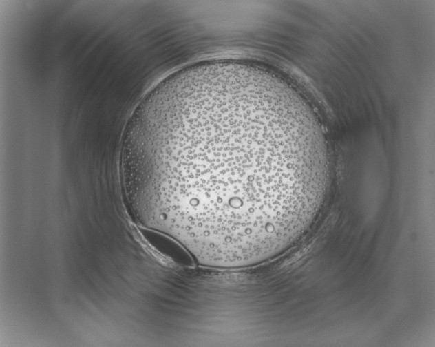 X0000072491417200608111550