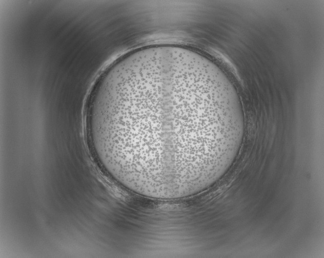 X0000072491419200608111550