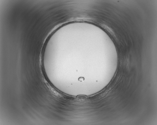 X0000072491420200608111550