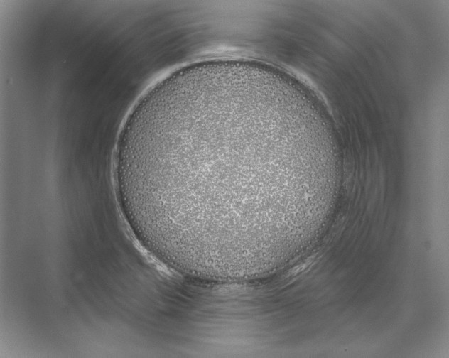 X0000072491421200608111550