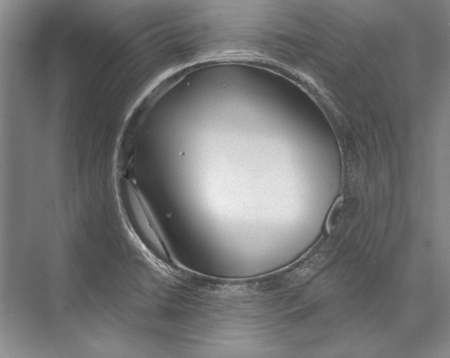 X0000072491422200608111550