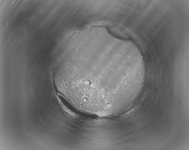 X0000072491425200608111550