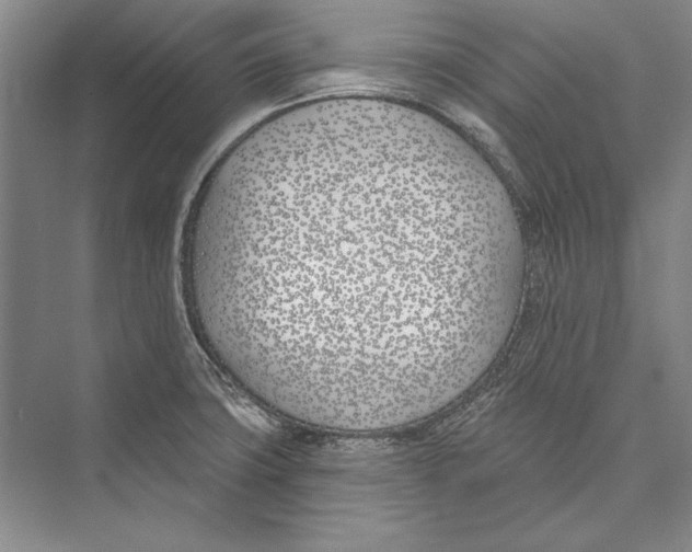 X0000072491427200608111550